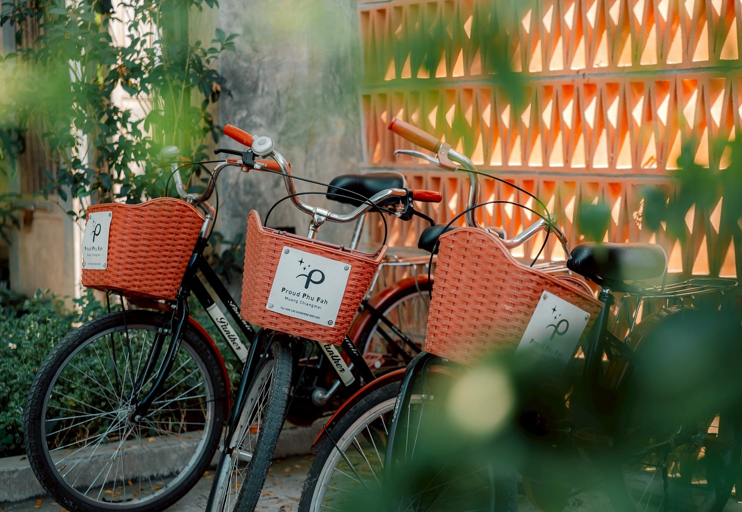 Bicycle Service