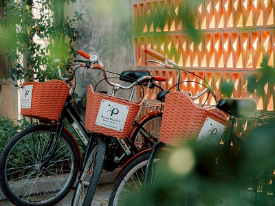 Bicycle Service