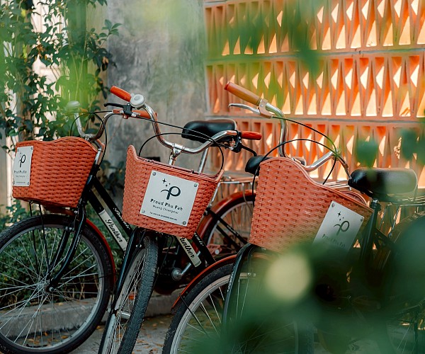 Bicycle Service
