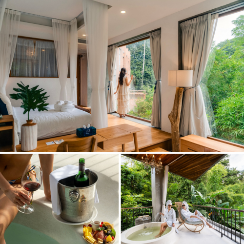 Free Complimentary Wine and Cheese Board